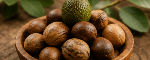 Shea Nuts in Wooden Bowl Image