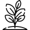 plant (1)